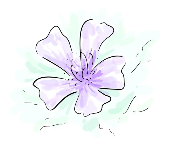 Szkic kwiat — Zdjęcie stockowe