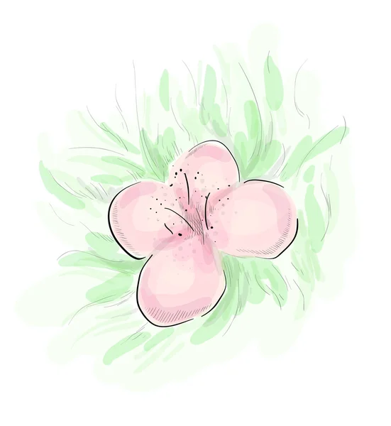 Roze bloem schets — Stockfoto