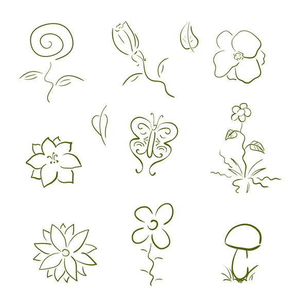 Conjunto de elementos de diseño flora y fauna — Foto de Stock