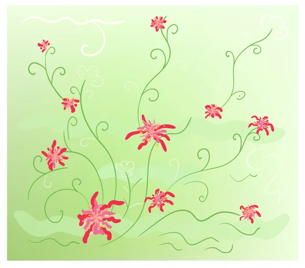 Decorative floral background — Stock Photo, Image