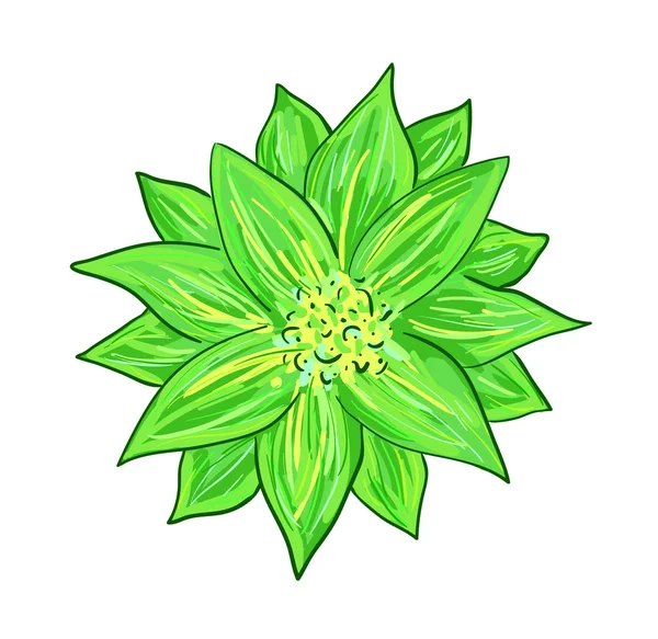 Fiore verde stilizzato — Foto Stock