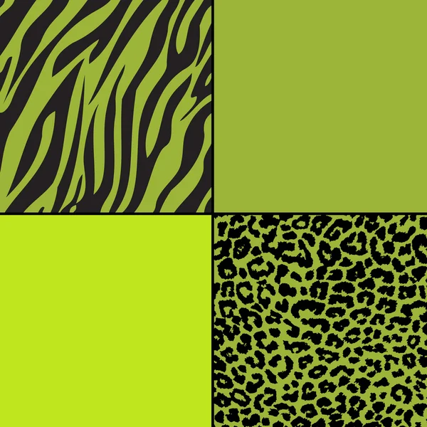 Green Zebra & Cheetah Papers — Stock Photo, Image