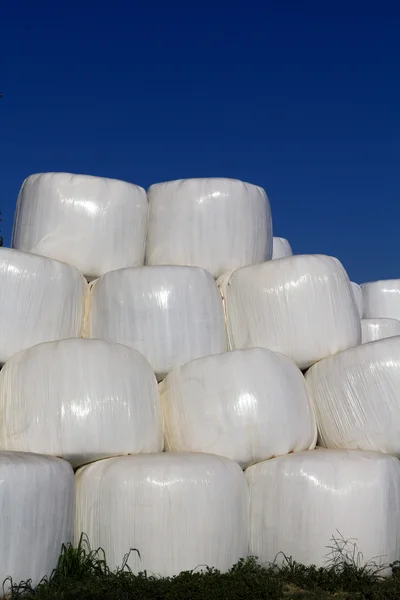 stock image Balls of hay