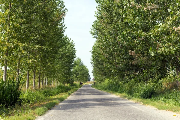 stock image Countryside