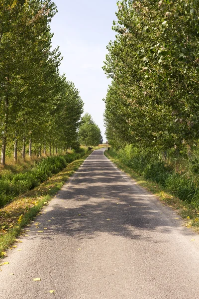 stock image Countryside