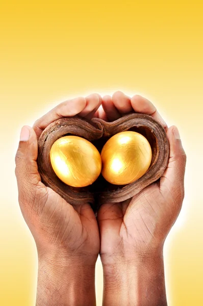 HANDS GOLD EGG CONCEPT — Stock Photo, Image
