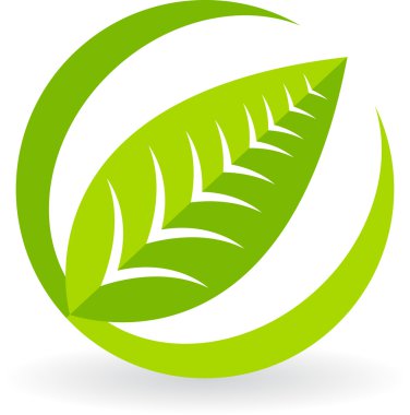 Leaf logo clipart