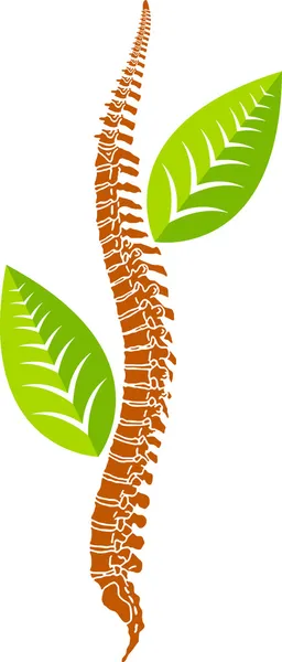 Homem logotipo da folha da coluna vertebral — Vetor de Stock