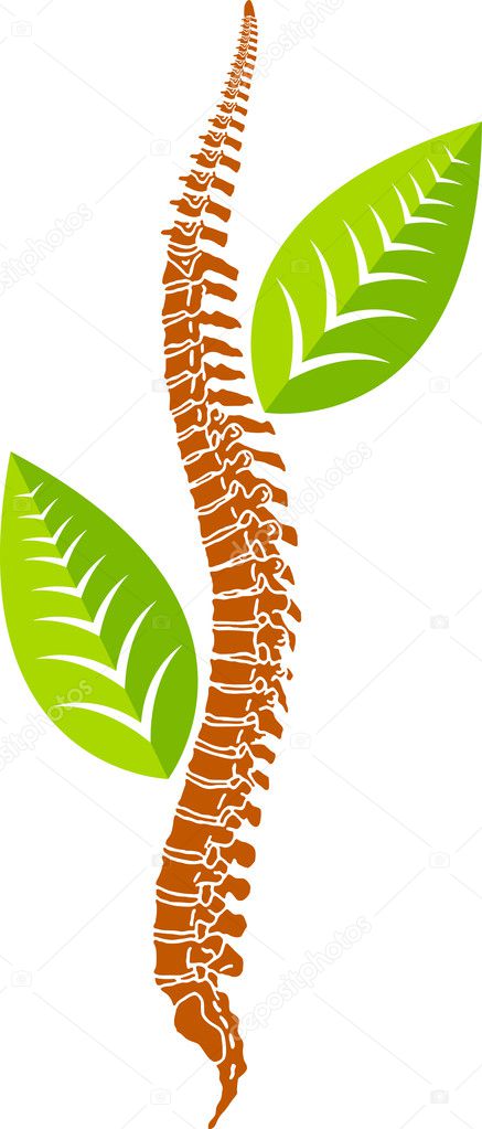 Man spine leaf logo