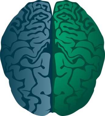 Human brain clipart