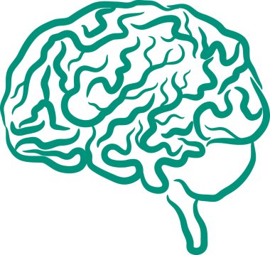 Human brain clipart