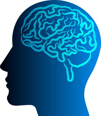 Human brain clipart