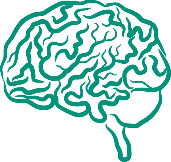 Cervello umano — Vettoriale Stock