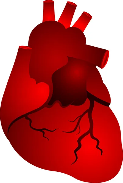 Rote Herzform — Stockvektor