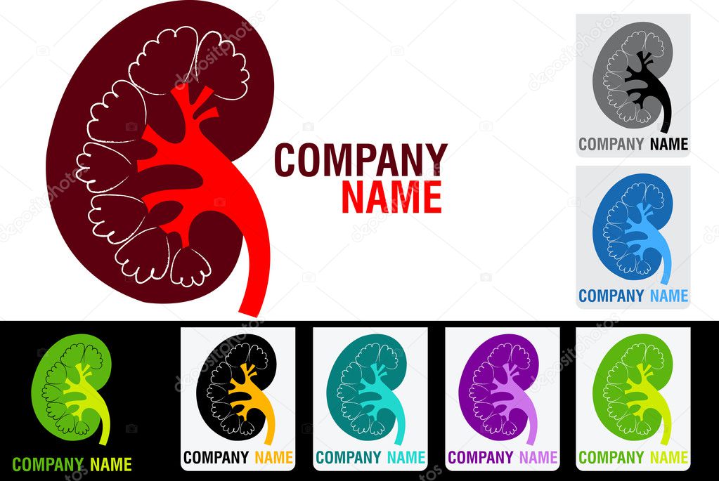 Illustration art kidney logo with isolated background