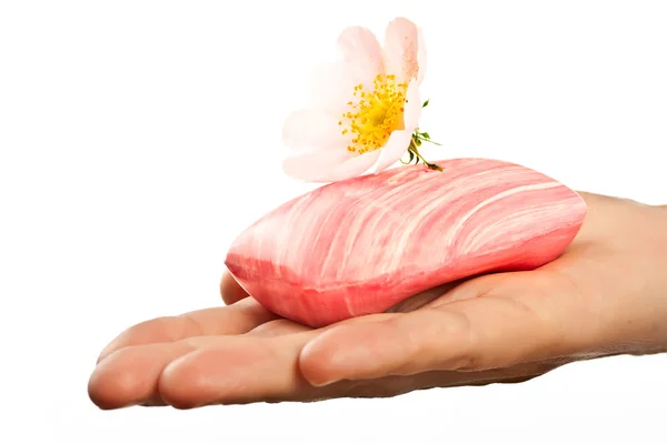 Růžové mýdlo s kytkou v ruce žen — Stock fotografie