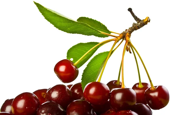 Ripe juicy cherries — Stock Photo, Image