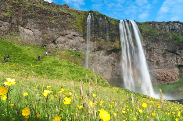 Berömda seljalandsfoss vattenfall på Island — Stockfoto