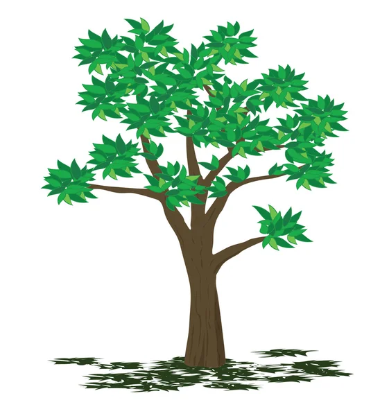 Лето деревьев — стоковый вектор
