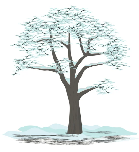 Árvore inverno — Vetor de Stock
