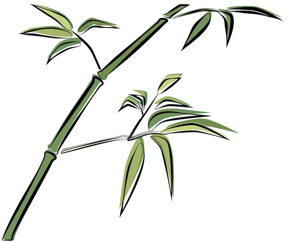 Oddział bambusa — Wektor stockowy