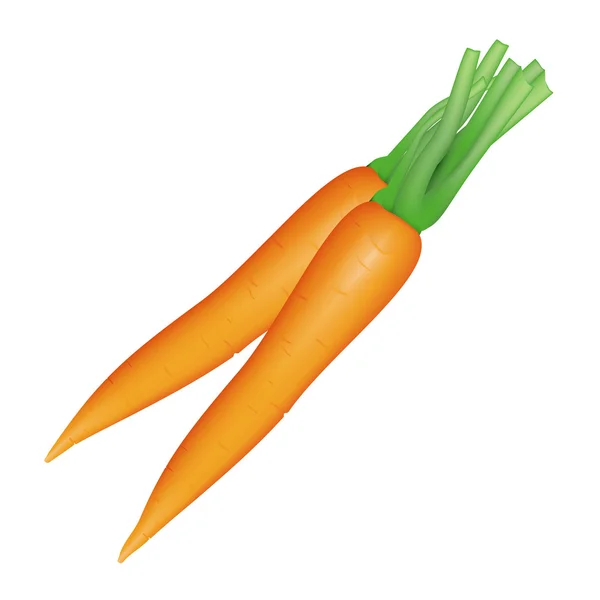 stock vector Carrots