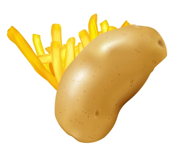Kartoffeln und Pommes — Stockvektor
