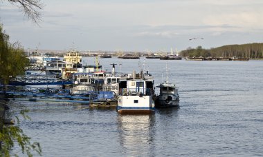 Tuna Nehri