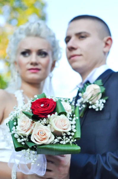 Жених и невеста — стоковое фото