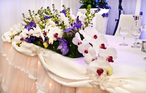 观赏兰花的婚礼 — 图库照片