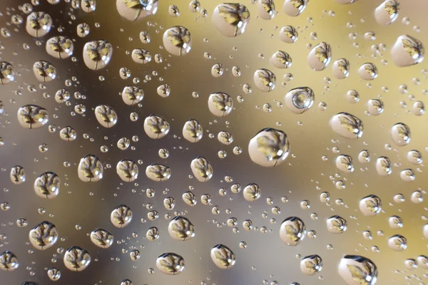Gotas de água com folha Fotografia De Stock