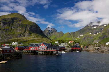 Picturesque village on Lofoten clipart