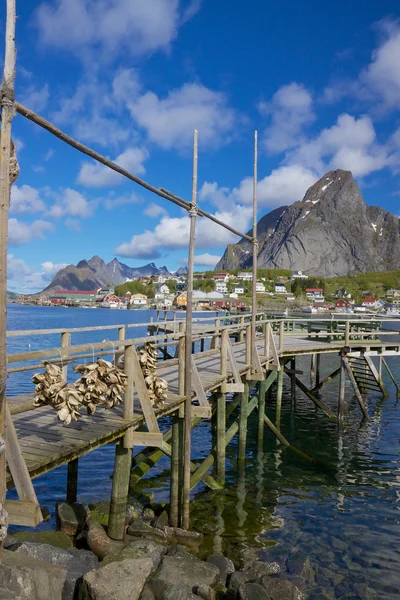 Holzsteg im Fjord — Stockfoto