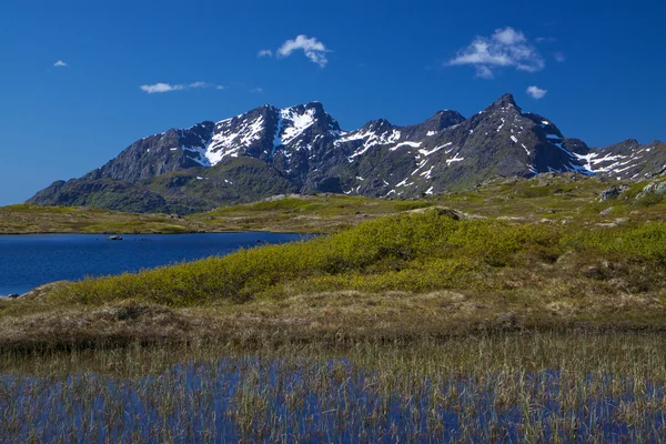 Lofoten Dağları — Stok fotoğraf