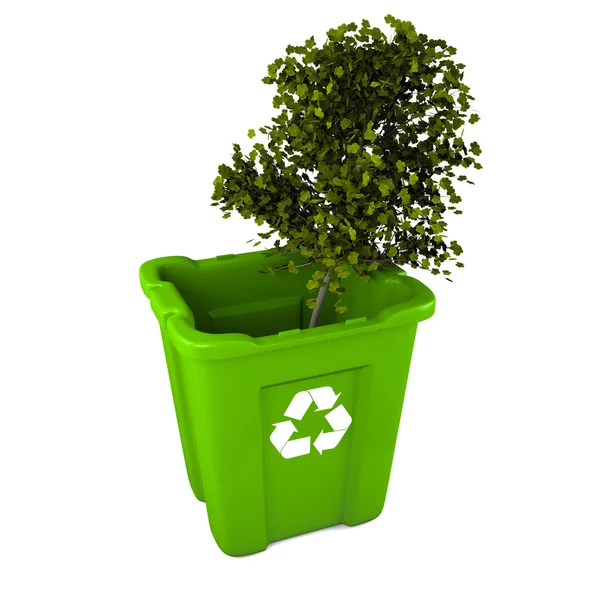 Tree in recycle bin — Stock Photo, Image