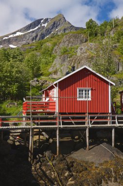 Norveçli rorbu hut