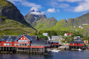 Picturesque village on Lofoten clipart