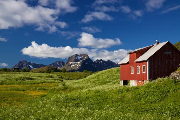 Pintoresco panorama de Lofoten —  Fotos de Stock