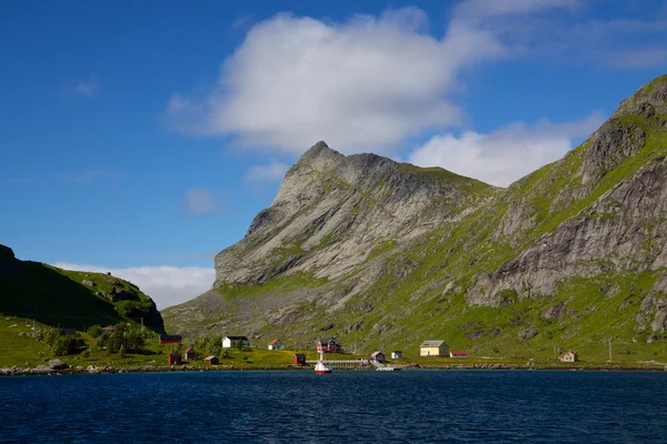 Fjord aan lofoten — Stockfoto