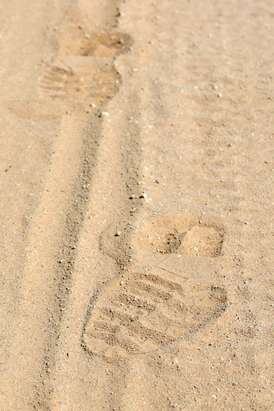 Trace on sand — Stock Photo, Image