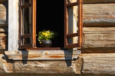 Flowers at an open window clipart