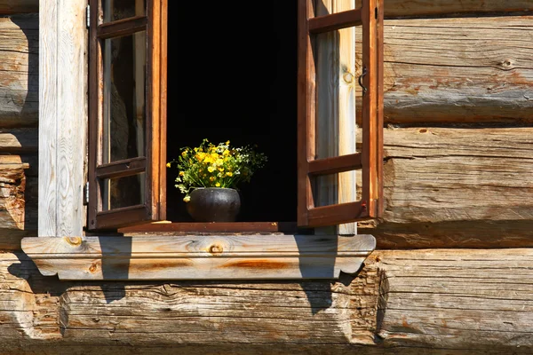 Flowers at an open window — Stock Photo, Image