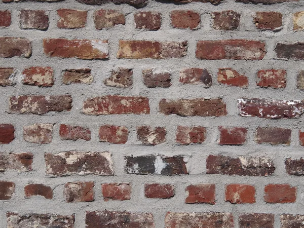 stock image Old brickwall