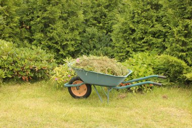 Wheelbarrow clipart