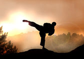 Stock Illustration of Karateka Training on Mountain
