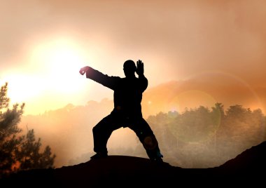 Stock Illustration of Tai Chi on Mountain clipart