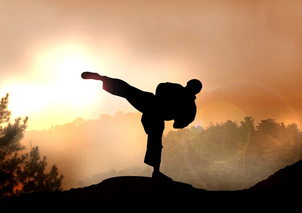 Ilustracji karateka szkolenia na górze — Zdjęcie stockowe