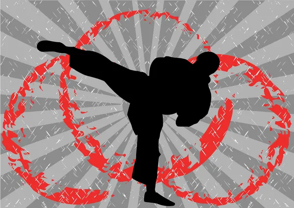 Voorraad vectorillustratie van karate pictogram — Stockvector