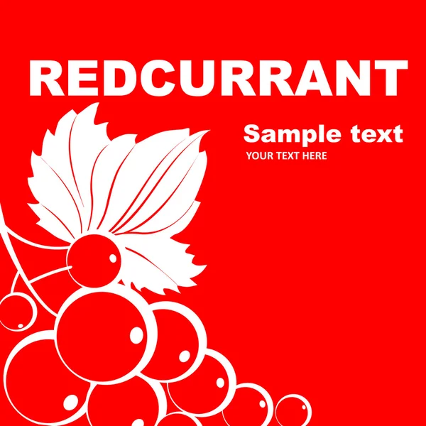 Étiquette de fruits. Groseille rouge . — Image vectorielle