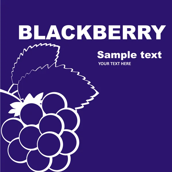 Blackberry label design. — Stock Vector